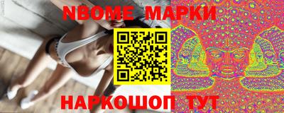 гидра Будённовск