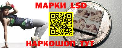 гидра Будённовск