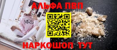 гидра Будённовск