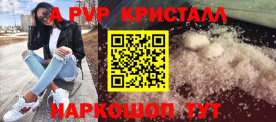 гидра Будённовск